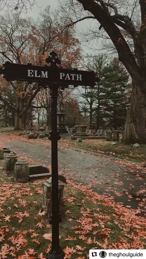 Best Of Salem on Reels | bestofsalem · Original audio Town Of Salem, New England Town, England Town, Rain Fall, England Countryside, Rainy Afternoon, Scary Gif, Spooky Places, Salem Massachusetts