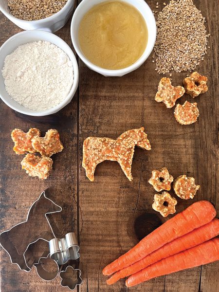 Carrot Cookies for Your Horse Horse Treats Homemade, Healthy Horse Treats, Horse Treats Recipe Easy, Horse Treats Recipe Easy No Bake, Horse Treats Recipe, Carrot Horse Treats, Carrot Dog Biscuits, Animal Crackers Recipe, Horse Cookies Recipes