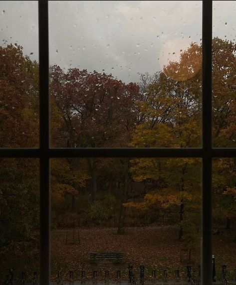 Autumn Rain, Late Autumn, Dark Autumn, Gloomy Day, Fall Feels, Academia Aesthetic, Best Seasons, Open Window, We Fall In Love