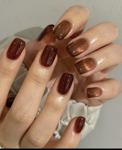 Fall Gel Mani, Copper Cat Eye Nails, Brown Holographic Nails, Dark Cateye Nails, Brown Manicure Ideas, Brown Cateye Nail, Short Brown Nails Design, Jelly Brown Nails, Fall Cat Eye Nails