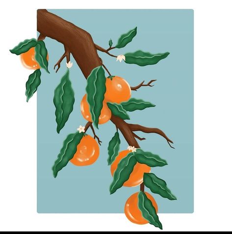 Orange Peal, Drawing Fruit, Orange Branch, Fruit Sketch, Branch Drawing, Fruits Drawing, Leaves Illustration, Fruit Illustration, Orange Tree