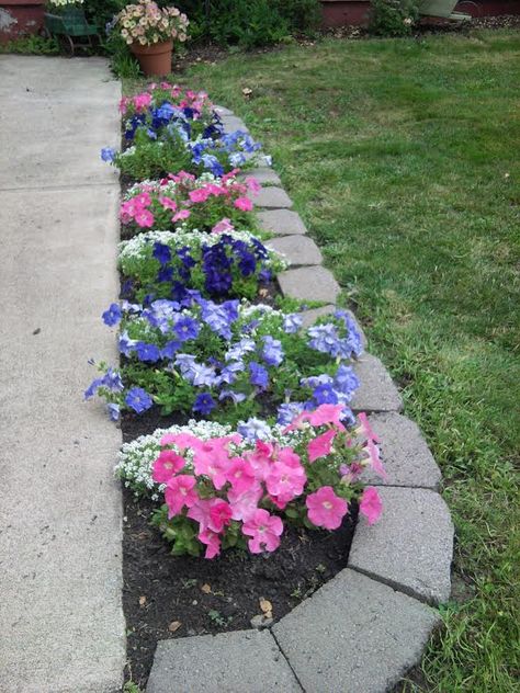 Can you tell I love petunias? I line my back walkway with them and white alyssum! :0) Plants For Walkway, Petunias Flower Bed Front Yards, Walkway Flowers, Sidewalk Landscaping, White Alyssum, Front Garden Landscape, Small Front Yard Landscaping, Front Yard Garden Design, Garden Decor Projects