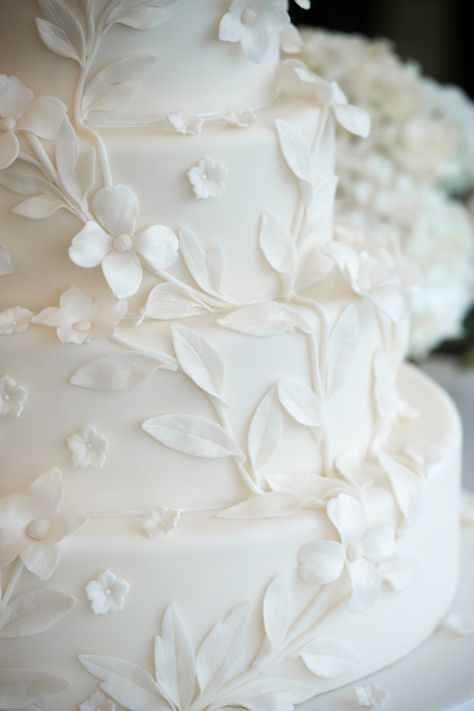 Magnolia Wedding Cake Simple, Floral White Wedding Cake, Embossed Wedding Cake, Wedding Cake Designs Fondant, Vine Wedding Cake, All White Wedding Cake Elegant, Floral Wedding Cake Ideas, White On White Wedding Cake, Wedding Cake Pearls And Flowers