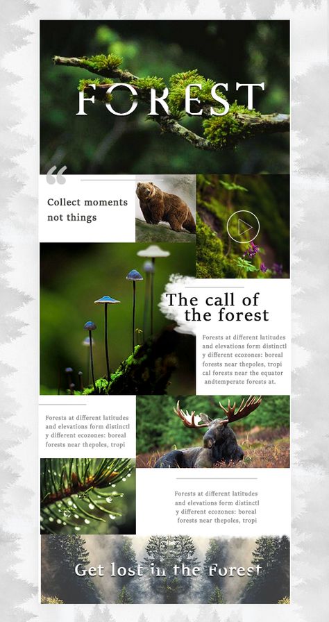 Pretty Website Design Inspiration, Nature Inspired Website Design, Nature Brochure Design, Natural Website Design, Nature Website Design, Parallax Website Design, House Advertising, Blue Swimming Pool, Website Design Inspiration Layout