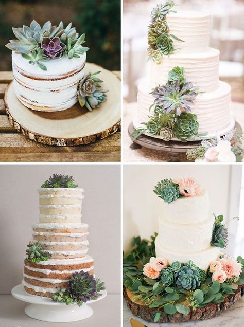 Succulents Wedding Cake, Wedding Succulents, Succulent Wedding Cakes, Fern Wedding, Succulent Cake, Succulent Wedding Favors, The Wedding Cake, Boda Mexicana