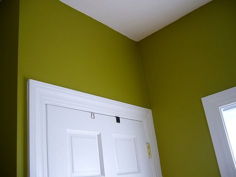 Supposed to be Benjamin Moore Forest Moss Paint Forest, Forest Moss, Choosing Paint, Benjamin Moore Paint, Benjamin Moore, Floating Nightstand, House Painting, Tree House, Paint Colors