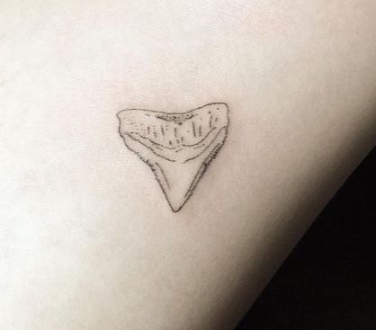 Small Shark Tooth Tattoo Simple, Shark Tooth Outline, Tiny Shark Tooth Tattoo, Fine Line Shark Tooth Tattoo, Dainty Shark Tooth Tattoo, Shark Tooth Tattoo Design, Great White Shark Tooth Tattoo, Simple Shark Tooth Tattoo, Sharks Tooth Tattoo