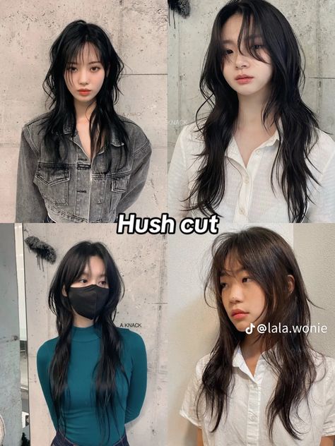 How To Style A Hush Cut, Cute Haircut For Wavy Hair, Hush Cut No Bangs, Hush Cut Front View, Hush Cut With Wispy Bangs, Hershey Cut Hairstyle, Wolf Cut Korean, Medium Hush Cut, Hush Cut Hair Long