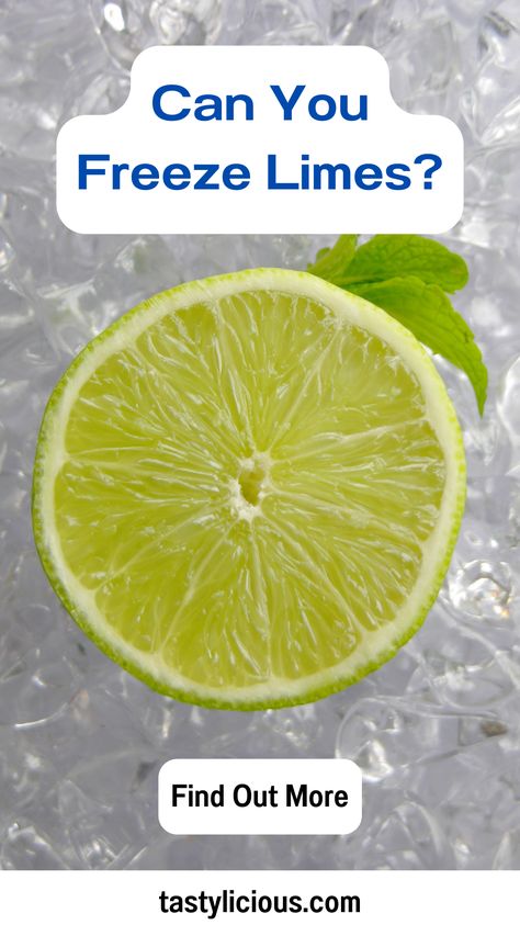 Can you Freeze Limes | how long can you freeze limes | how to use frozen limes | Can You Freeze Whole Limes | fall recipes dinner | healthy lunch ideas | dinner ideas | breakfast ideas | easy healthy dinner recipes How To Use Up Limes, What To Do With Limes Ideas, What To Do With Limes, Lime Benefits, Breakfast Ideas Easy Healthy, Fall Recipes Dinner, Breakfast Ideas Easy, Baking For Beginners, Lime Pickles