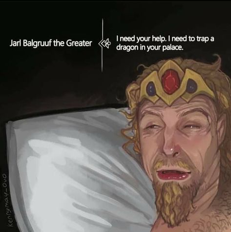 Jarl Balgruuf, The Elder Scrolls, A Dragon, Elder Scrolls, Skyrim, The Dragon, Wake Up, Internet, Memes