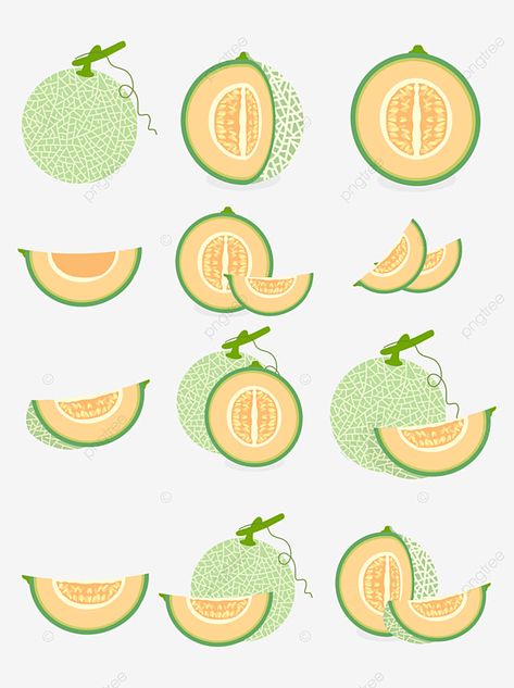 Cantaloupe Fruit, Texture Png, Christmas Tree Drawing, Fruit Clipart, Fruit Packaging, Fruit Cartoon, Fruit Vector, Food Banner, Honeydew Melon