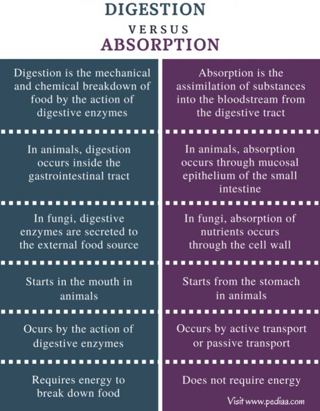 Difference Between Digestion and Absorption Check more at https://in4arts.com/difference-between-digestion-and-absorption.html Passive Transport, Digestion And Absorption, Cell Wall, Start The Day, Gut Health, Good Morning Images, Morning Images, Morning Quotes, Good Morning Quotes