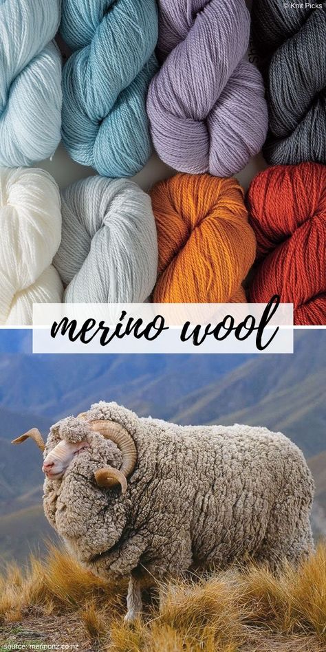 This widely used wool comes from Merino sheep, which is quite a special breed – its wool doesn’t cause allergic reactions, is very durable and super soft. Knitters and crocheters value these qualities, because they make it a perfect choice for winter accessories and baby garments.  #crochet #howtocrochet #yarntypes #merino #wool Crochet Merino Wool, Sheep Wool Crafts, Fibre Sources, Wool Aesthetic, Yarn Aesthetic, Ag Science, Ladies Tops Patterns, Wool Sheep, Sweater Designs