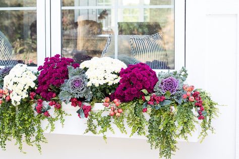 Fall Window Boxes, Fall Windows, Outside Fall Decor, Fall Container Gardens, Fall Containers, Window Box Flowers, Window Planters, Fall Planters, Cabbages