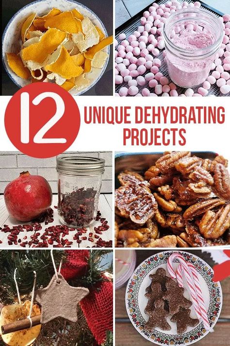 12 Unique Dehydrating Projects you can try this year with your new dehydrator! #12daysofdehydrating #dehydratedmarshmallows #jerky #dehydrateallthethings Homestead Storage, Dehydrating Vegetables, Dehydrating Fruit, Dehydrating Recipes, Dehydrating Food Storage, Yogurt Drops, Venison Jerky, Preserving Vegetables, Food Dehydration