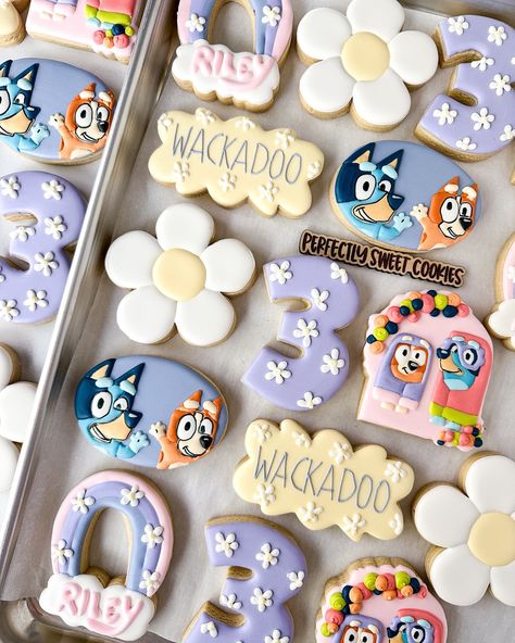 Absolutely loved celebrating sweet Riley today! Watching her grow from a feisty 2 year old to a sweet 3 year old and a big sister has been so much fun! #customcookies #customdecoratedcookies #royalicingcookies #decoratedsugarcookies #smallbusiness #coloradosmallbusiness #northglenn #thornton #colorado #coloradocookier #custombirthdaycookies #coloradocookies #foodie #customcookies #decoratedsugarcookies #northglenncolorado #customcookiescolorado #coloradobakerbabes #sugarcookies #royalicing ... Number Three Cookies Decorated, Bluey 3rd Birthday Cookies, 4th Birthday Cookies Girl, 2 Cookies Decorated, Bluey Cookies For Girl, Bluey Cookies, Thornton Colorado, Fiesta Bluey, Birthday Biscuits