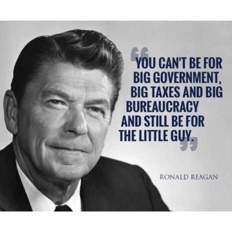 Reagan Quotes, Ronald Reagan Quotes, Usa Presidents, Historical Quotes, Funny Thoughts, Ronald Reagan, Advice Quotes, Speak The Truth, Faith In Humanity