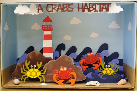 Diorama project - A Crab's Habitat Lobster Poster, Habitat Diorama, Crab Habitat, Habitat Project, Diorama Project, Habitats Projects, Under The Sea Crafts, Island Crafts, Poster Project