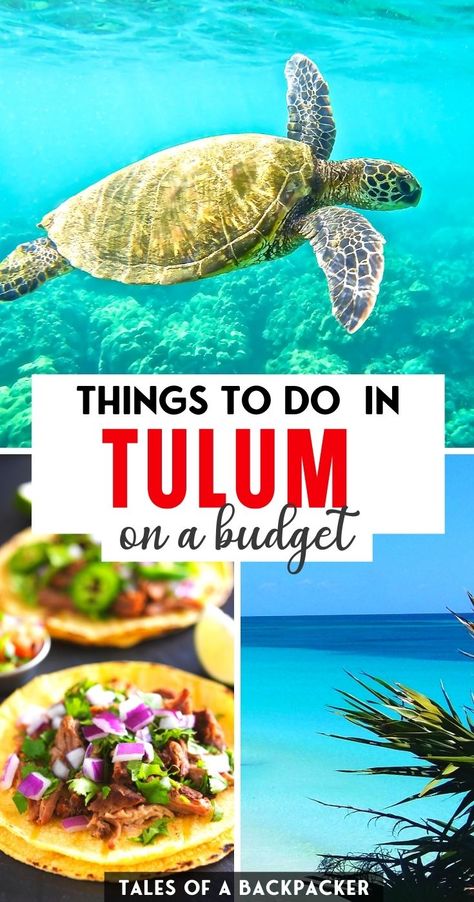 Mexico Itinerary, Tulum Travel Guide, Tulum Travel, Explore Mexico, Mexico Travel Guides, Mexico Travel Destinations, Cheap Things To Do, Mexico Resorts, Budget Travel Destinations