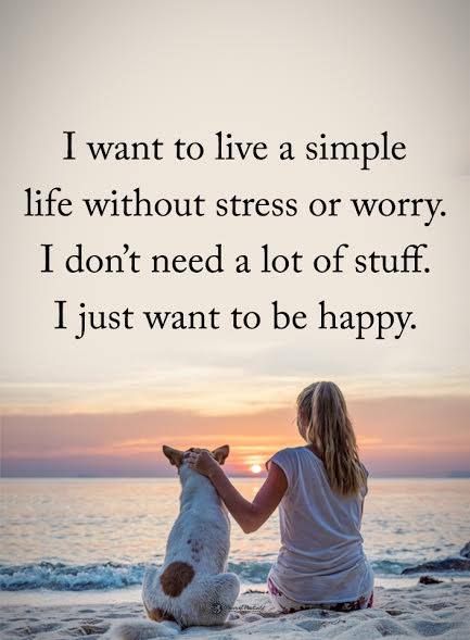 I want to live a simple life without stress or worry. I don't need a lot of stuff. I just want to be happy! Live A Simple Life, Simple Life Quotes, I Want To Live, Life Is Too Short Quotes, A Simple Life, Happy Life Quotes, Ricky Gervais, The Simple Life, Life Quotes Love