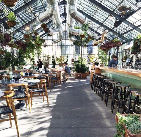 Greenhouse Bar, Greenhouse Restaurant, Concept Restaurant, Greenhouse Cafe, Coffee Restaurants, Design Café, Greenhouse Plans, Garden Cafe, Coffee Shop Design