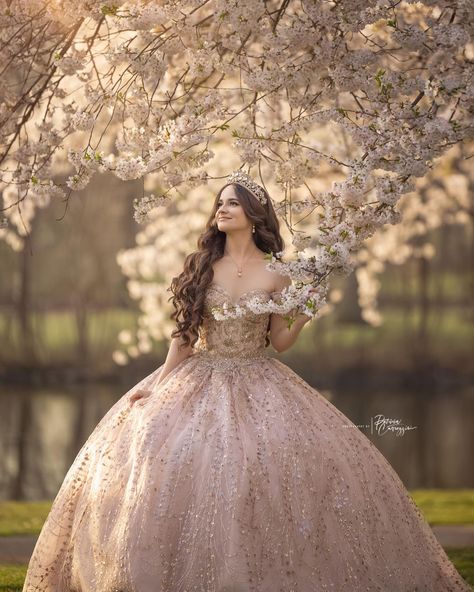 She is our angel of the morning 2024 😇♥️📸 🌸 Sweet16 angel 🇧🇷 ♥️ from Connecticut 🙏 Photos with #flyingdress in NJ 🙌😍📸 Dresses available in our studio 📣 #patriciacarrozziniphoto #iamblessed #godisgood Makeup and Hairstyle by @elsaramosmakeup_mg #njquinceañera #njsweet16 #nyquinceanera #nysweet16 #domincana #dominicanosny #quinceañera #sweet16 #quinceideas #quincedress #quincemakeup #flyingdresses #flowydress #njparksandforests #bestquinceañeraphotographer #quincerentaldress #njdresses #bes... Quince Pic Ideas, Quinceanera Picture Ideas With Court, Quinceanera Poses Photo Shoots, Quinceanera Photoshoot Poses, Quinceañera Photos, Quince Poses, Quinceañera Photoshoot Ideas, Quince Photoshoot Ideas, Angel Of The Morning