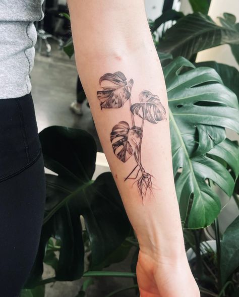 Monstera Propagation Tattoo, Plant Tattoo Monstera, Calathea Plant Tattoo, Variegated Monstera Tattoo, Plant Finger Tattoos For Women, Large Plant Tattoo, Syngonium Tattoo, Houseplant Tattoo Ideas, Alocasia Tattoo