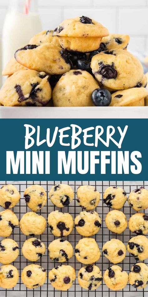 Blueberry Mini Muffins, Fresh Blueberry Muffins, Mini Blueberry Muffins, Blueberry Protein Muffins, Mini Chocolate Chip Muffins, Box Snack, Bite Size Snacks, Mini Brownies, Lunch Box Snacks