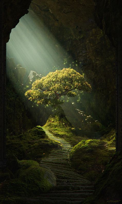 Background I Phone, Tree Of Life Wallpaper, I Phone Wallpaper, Wallpaper Tree, Phone Wallpaper Nature, Life Wallpaper, 2024 Art, Landscape Concept, Wallpaper Nature