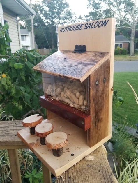 Squirrel Furniture, Squirrel Feeder Diy, Squirrel House, Squirrel Home, Bird House Plans Free, Squirrel Feeders, Bird Houses Ideas Diy, Squirrel Feeder, Bird House Feeder