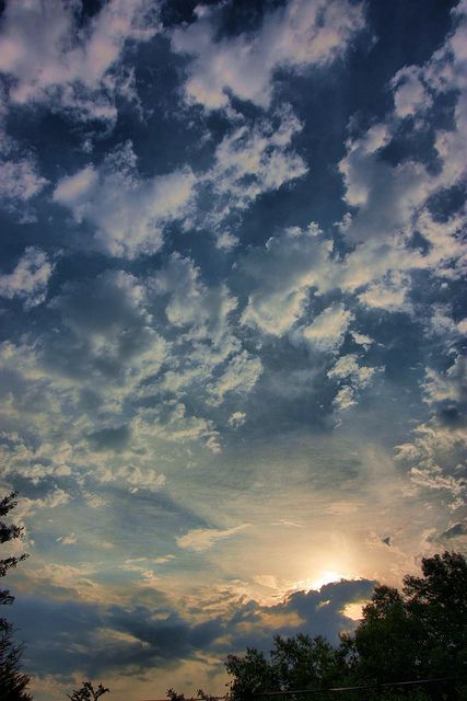 Asthetics Photos, Pretty Morning, Day Sky, Nature Film, Summer Nature Photography, Nature Iphone Wallpaper, Bullet Journal Cover Ideas, Shadow Photography, Sky Pictures