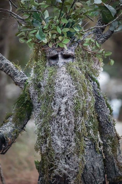 Forest Theme Costume Ideas, Tree Beard Costume, Male Woodland Creature Costume, Tree Fairy Costume, Diy Tree Face, Diy Tree Faces, Tree Costume Men, Enchanted Forest Costume Male, Tree Ent Costume