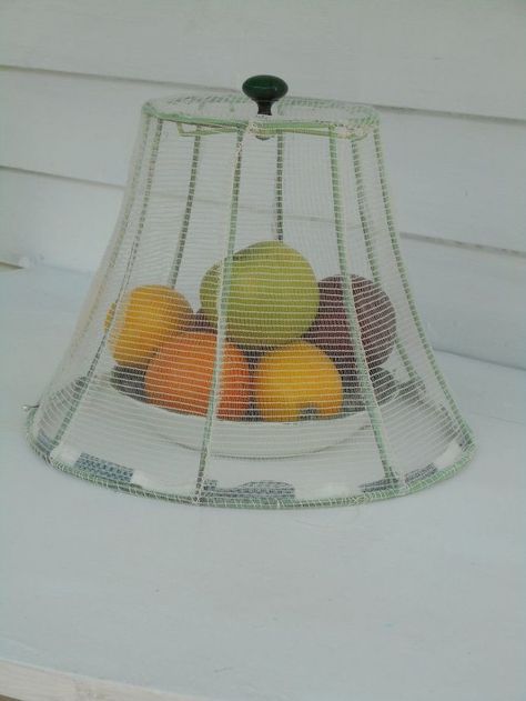 Converting a lamp shade into a bug catcher this is a no cost project that's perfect for outdoor entertaining! Such a great tip and a super simple life hack! A brilliant yet frugal upcycling idea that makes entertaining a breeze and keeps fruits, cakes, pies - whatever! - free of flies, bees, ants and other insects. #DIY #Netting #Summer #upcycling #repurposed #frugal #entertaining #lifehack #ideas #tipsandtricks Bug Catcher, Wire Lampshade, Old Lamp Shades, Lamp Shade Frame, Rustic Lamp Shades, Old Lamps, Diy Lamp Shade, Smart Ideas, Food Covers