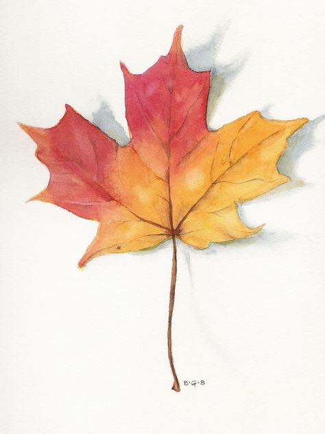 Leaf Maple Leaf Art, Autumn Leaves Art, Leaf Drawing, 수채화 그림, Autumn Painting, Painted Leaves, Watercolor Leaves, Watercolor Inspiration, Beautiful Drawings