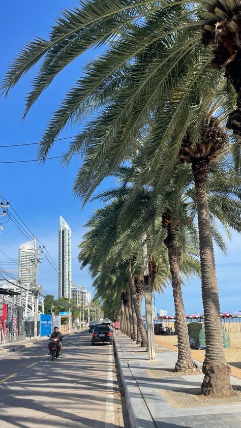 A sunny day in Thailand Jomtien Beach Thailand, Pattaya City, Beach Palm Trees, Aesthetic Places, Pattaya Thailand, Pattaya, Sunny Day, Sunny Days, Palm Trees