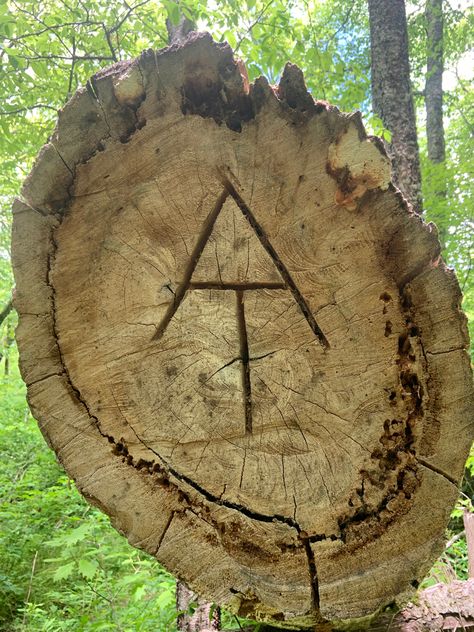 The Appalachian Trail symbol carved into a fallen tree Appalachian Trail Aesthetic, Appalachian Mountains Aesthetic, Appalachian Aesthetic, Appalachia Aesthetic, Campground Resort, Park Ranger Aesthetic, Trail Aesthetic, Hiker Aesthetic, Appalachian Culture