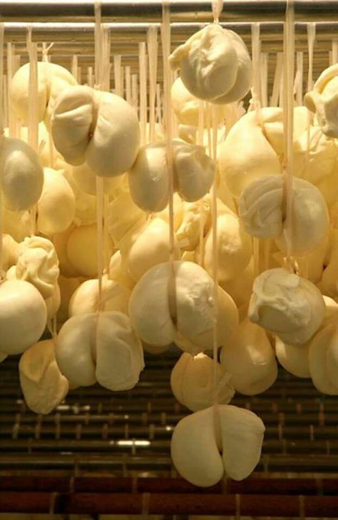 Scamorza Cheese, Molise Italy, Cheese Cave, Italian Pronunciation, Cow's Milk, Lactation Recipes, Italian Cheese, Italy Food, Cheese Shop