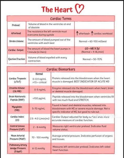 The Heart #medicalschool #resources #medicalstudent - Image Credits: Linda Cabg Surgery Nursing, Cardiac Meds Cheat Sheets, Emt Study Notes, Cardiology Study, Emt Study, Medical Terminology Study, Cardiology Nursing, Paramedic School, Nursing Cheat