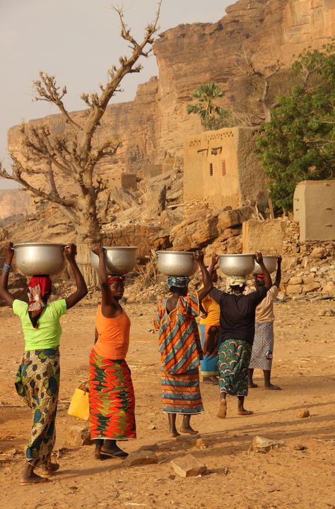 Women carrying water on their heads to a Dogon village, Koro Cercle, Mopti, Mali African Life, Afrique Art, Image Swag, African People, Out Of Africa, Africa Art, We Are The World, African Safari, People Of The World