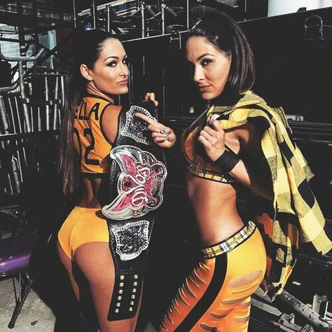 Bella Twins Nicki Bella, Brie Bella Wwe, Bella Sisters, Twins Sisters, Nikki Bella Photos, The Bella Twins, Women Wrestling, Nikki And Brie Bella, Nxt Divas