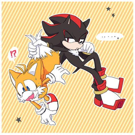 Shadails (Shadow the hedgehog y Miles "Tails" Prower) Tails Sonic, Sonic And Tails, Tails Doll, Horror Sans, Sonic Characters, Blue Hedgehog, Sonic Adventure, Hedgehog Art, Black Clover Anime