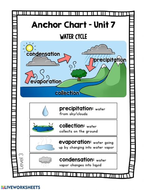 The Water Cycle - Day 3 - Interactive worksheet Water Cycle Process, Water Cycle For Kids, Water Cycle Activities, Water Cycle Worksheet, Cycle For Kids, Science Anchor Charts, Basic Science, The Water Cycle, Worksheets For Grade 3