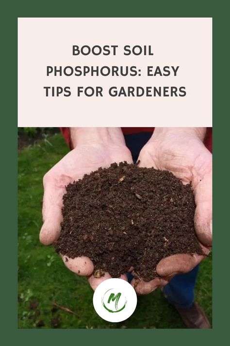 Looking to boost phosphorus levels in your soil? Explore a range of organic and chemical fertilizers that can help replenish this essential nutrient. Learn effective techniques for adding phosphorus to your soil and promote healthy growth for your plants. Enhance the fertility of your garden with these valuable tips and tricks. Phosphorus For Plants, Add Phosphorus To Soil, How To Make Nutrient Rich Soil, How To Prepare Soil For Planting, Preparing Soil For Planting, Preparing Garden Soil For Planting, Kratky Method, Soil Fertilizer, Gardening Hacks