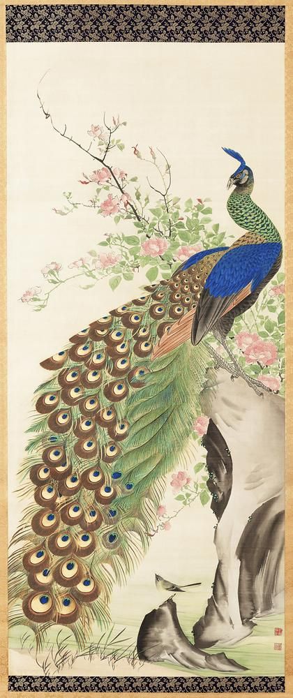 Public Domain Images Vintage, Peacock Artwork, Art Peacock, Asian Wall Art, Vintage Illustration Art, Japanese Art Prints, Peacock Painting, Awesome Designs, Japanese Painting