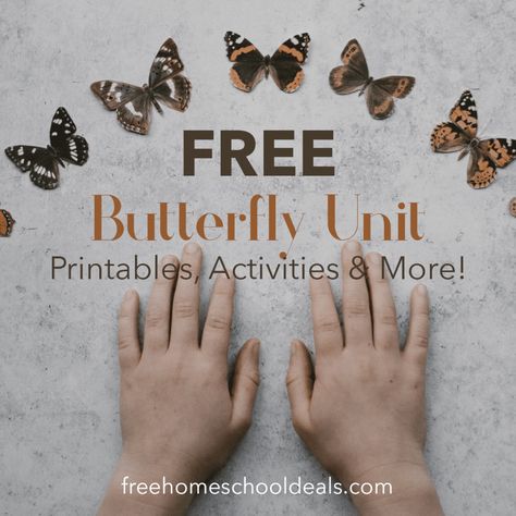 Butterfly Unit Kindergarten, Butterfly Science Activities, Insect Unit Study, Homeschool Science Lessons, Butterfly Life Cycle Activity, Butterfly Lessons, Spring Preschool Activities, Butterfly Facts, Butterfly Science