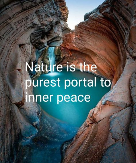 Spiritual Intelligence, Yogi Quotes, Divine Consciousness, Fierce Quotes, Earth Quotes, Energy Consciousness, Women Nature, Bright Quotes, Power Quotes