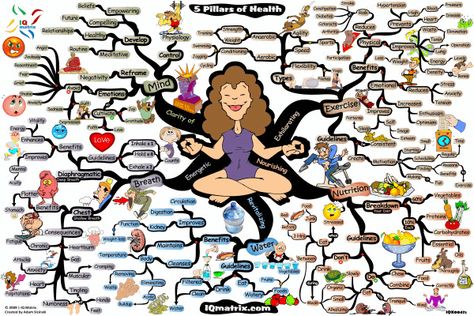 Google Image Result for http://www.mindmapart.com/wp-content/uploads/2009/03/5-pillars-of-health-mind-map-adam-sicinski.gif Pillars Of Health, Mind Map Art, Mind Map Free, Graphic Facilitation, Map Ideas, 5 Pillars, Health Class, Health Pictures, Mind Maps