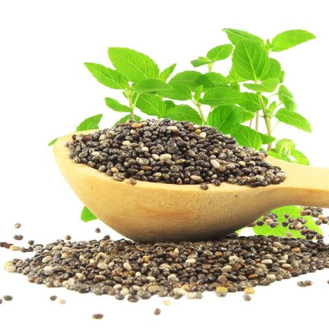 Salvia Hispanica, Mother Earth Living, Chia Seeds Benefits, Survival Gardening, Raw Food Diet, Soy Protein, Healthy Digestion, Medicinal Herbs, Chia Seeds