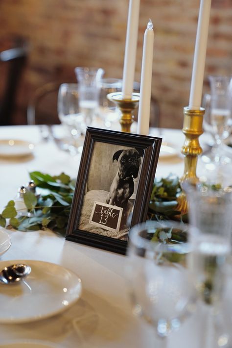 Wedding Centerpiece Pictures, Picture Frame Table Decor, Photo Centerpieces Wedding, Dog Wedding Table Numbers, Pet Table Numbers Wedding, Dog Table Numbers Wedding, Picture Frame Table Numbers, Table Numbers Wedding Dog, Dog Picture Table Numbers