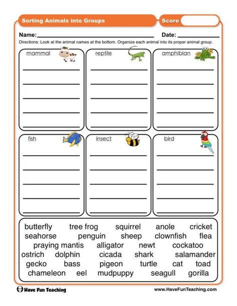 Vocabulary - Have Fun Teaching Sorting Animals Worksheet, Animal Lesson Plans, Nouns Kindergarten, Animal Classification Worksheet, Classification Of Animals, Classifying Animals, Animals Worksheet, Kids Activities At Home, Animal Classification